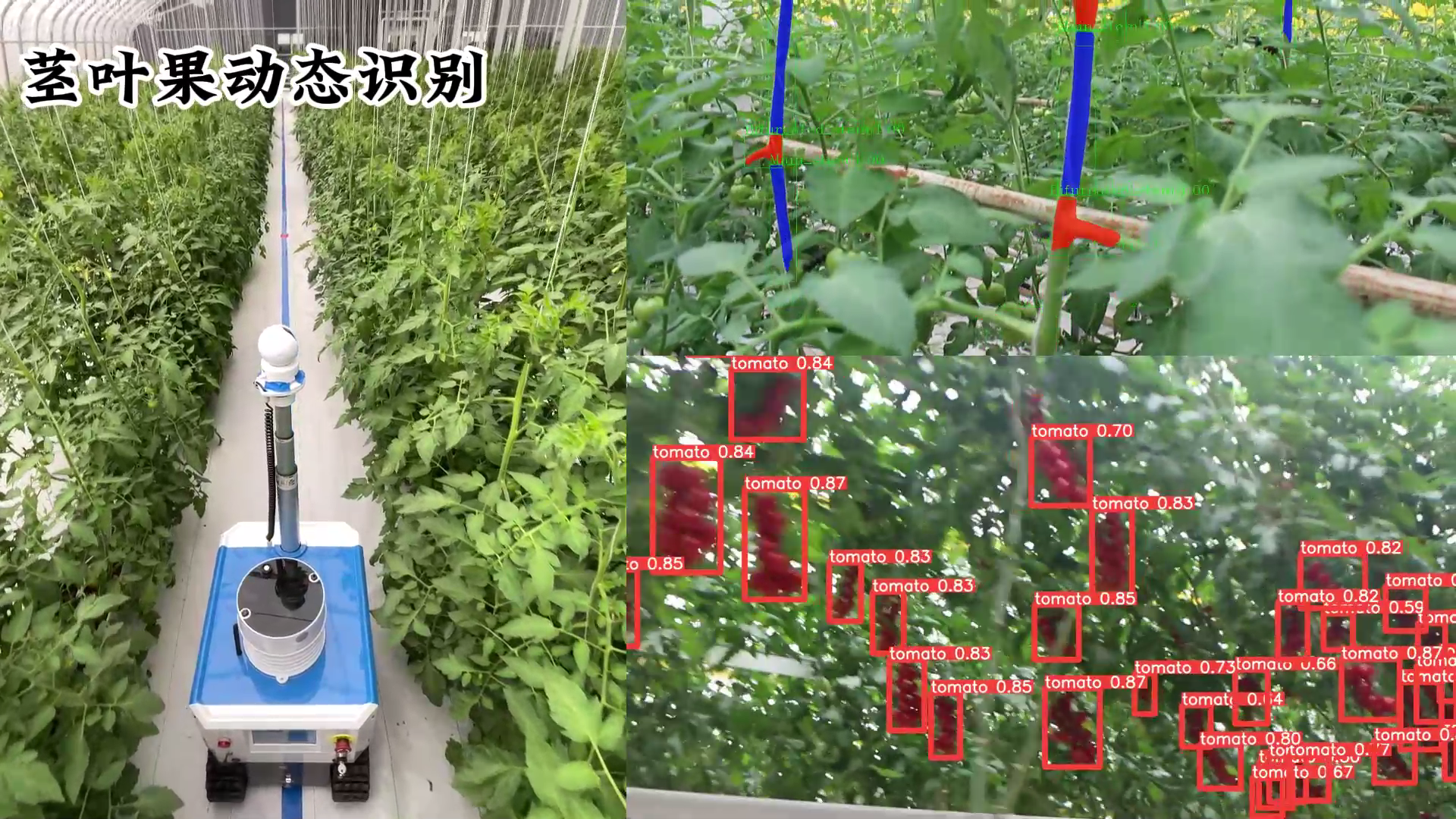 温室生产巡检机器人