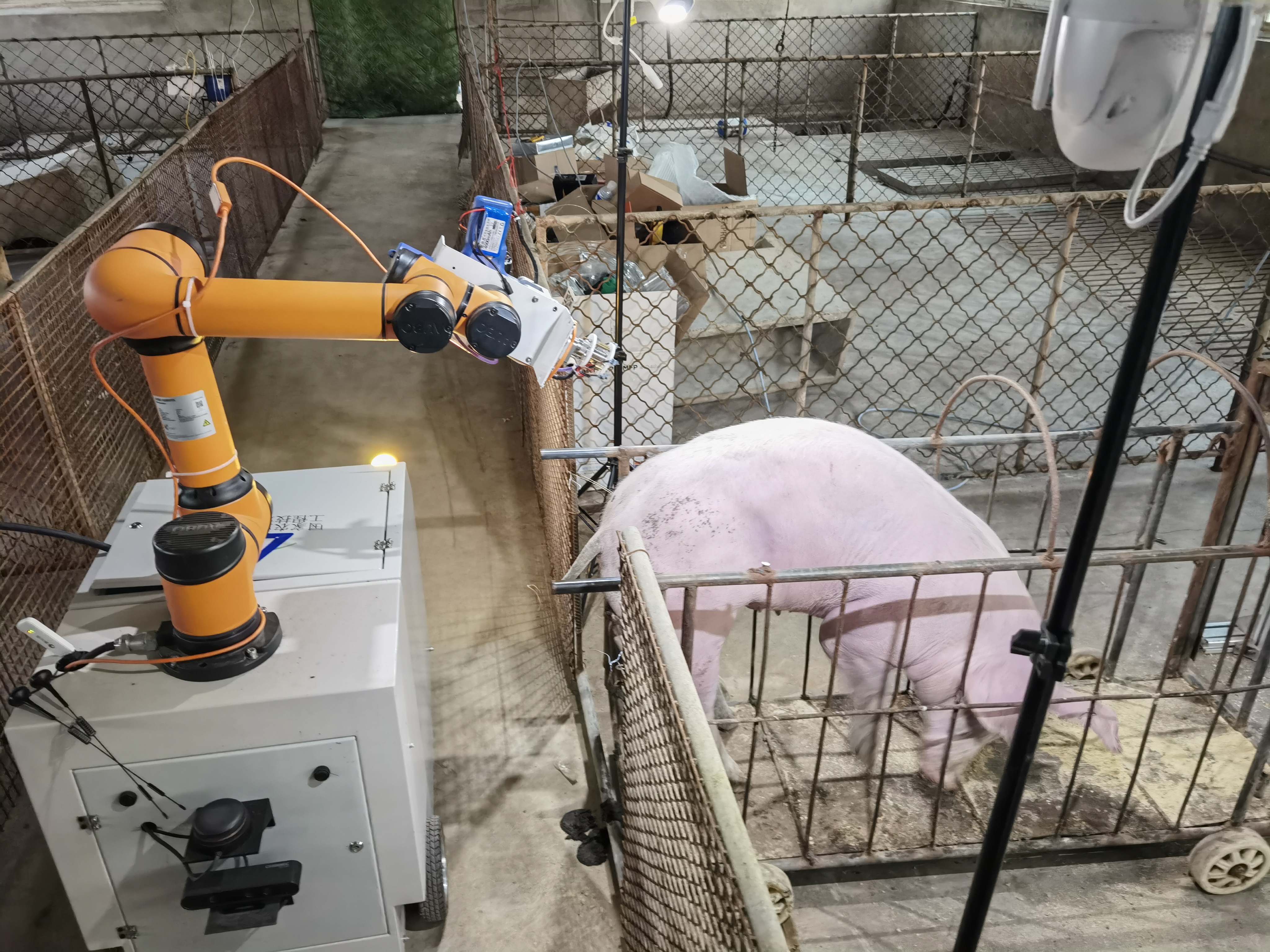 猪只无针免疫注射机器人