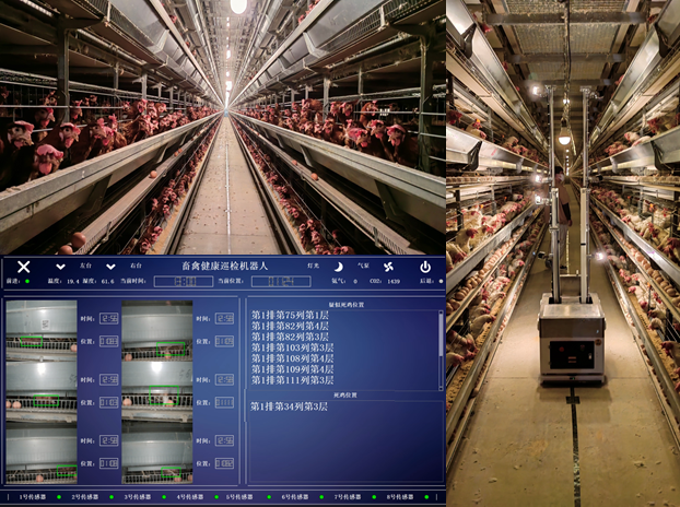 畜禽健康巡检机器人