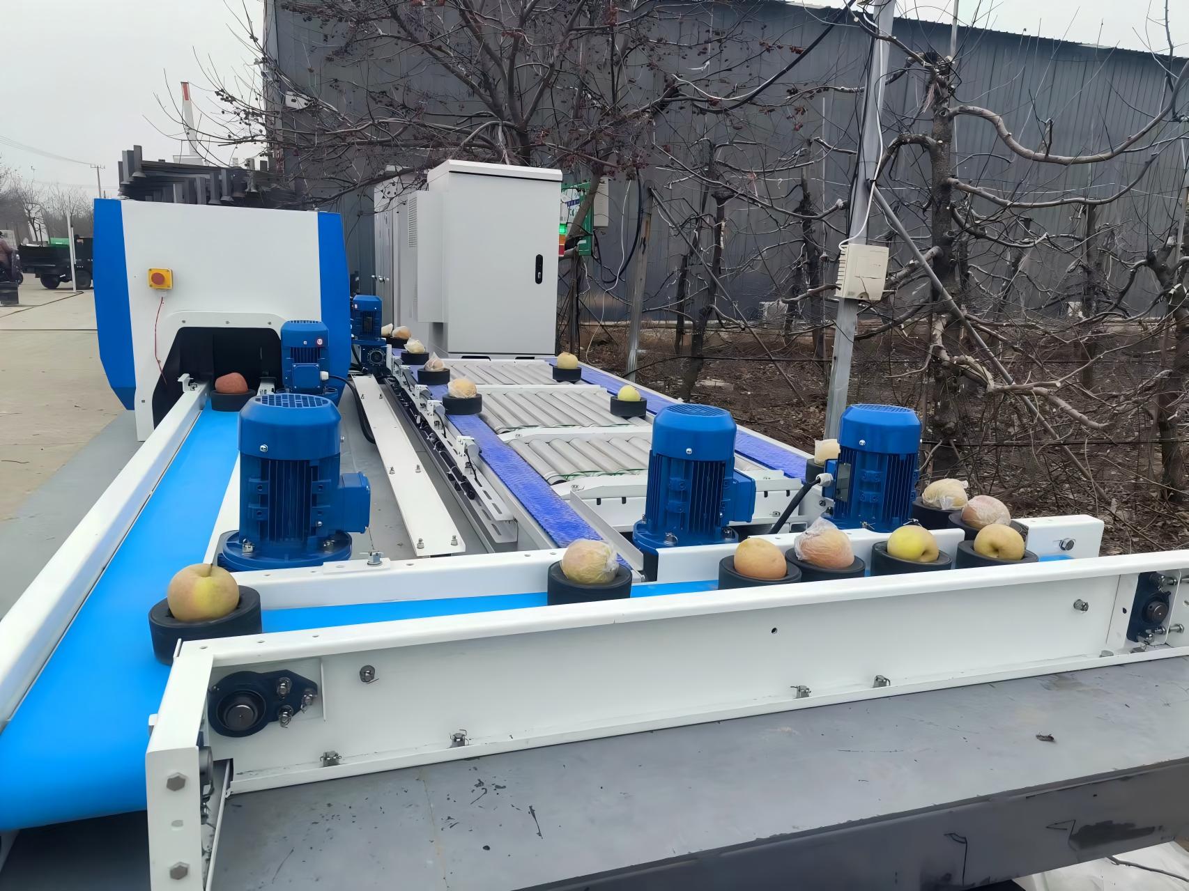 车载果托式小尺径果蔬品质分级生产线