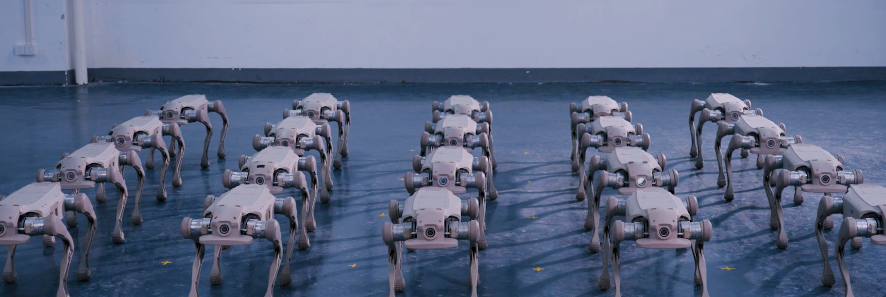 智身《机器狗总动员》表演